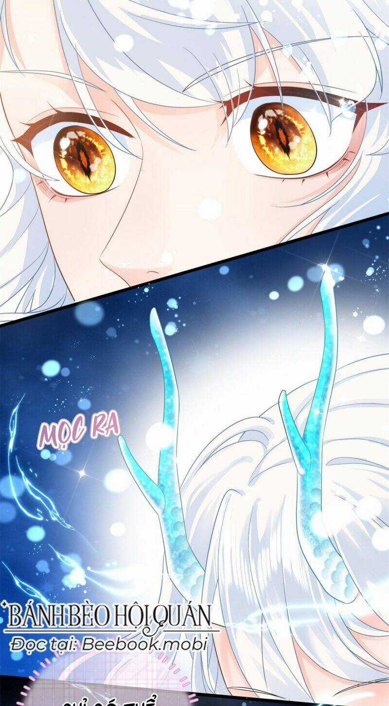 Bé Rồng Đột Kích! Mami Vừa Cay Vừa Độc Chapter 9 trang 22