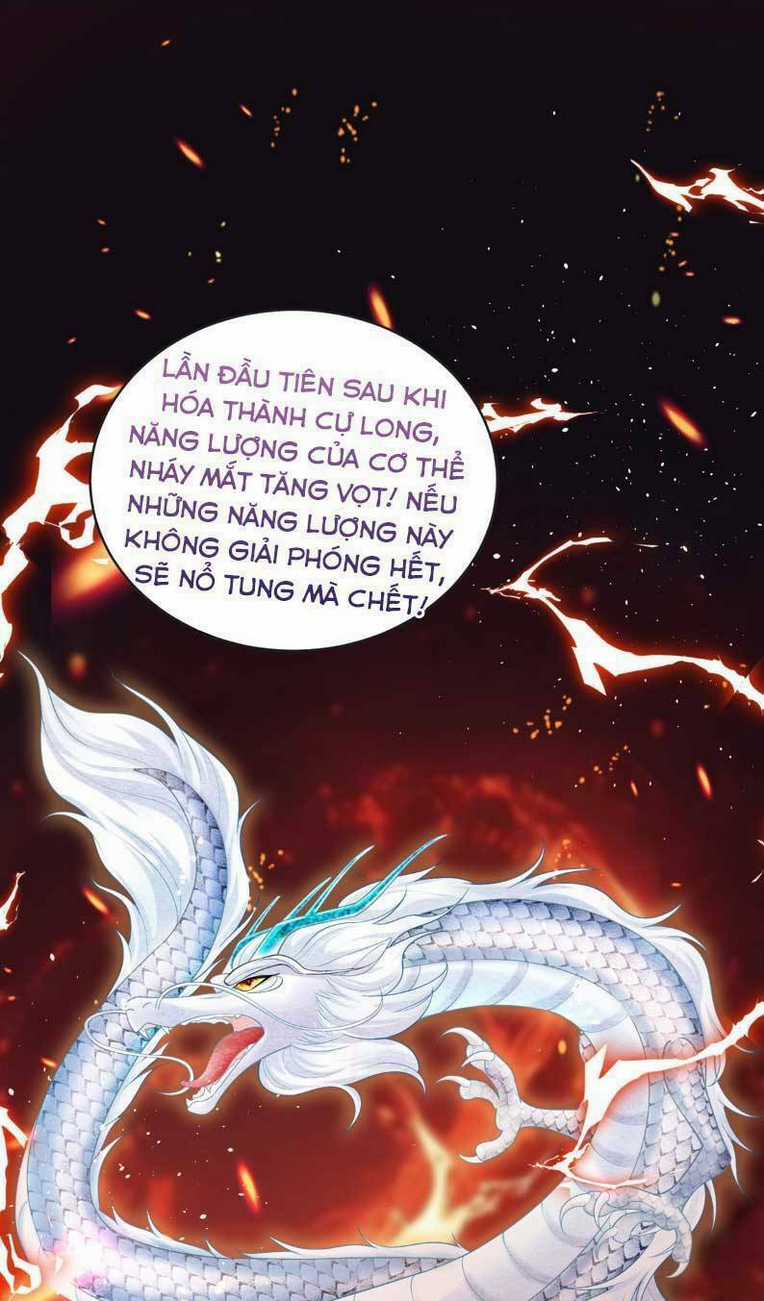 Bé Rồng Đột Kích! Mami Vừa Cay Vừa Độc Chapter 93 trang 0