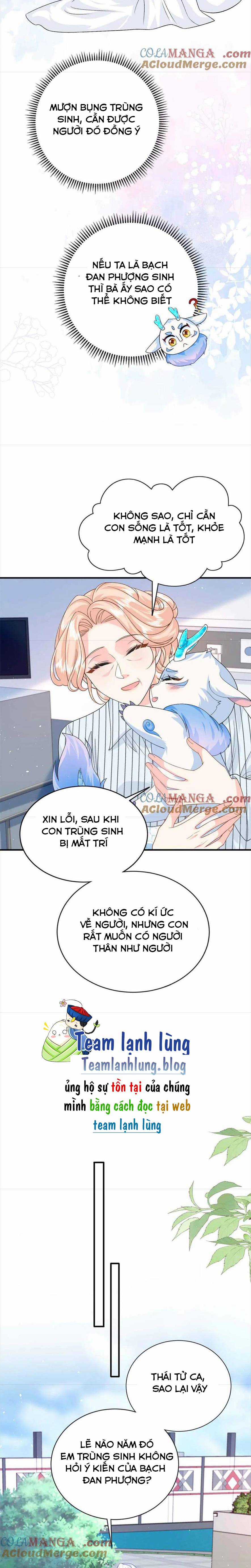 BÉ RỒNG ĐỘT KÍCH :MAMI VỪA TÀN NHẪN VỪA CAY ĐỘC Chapter 122 trang 3