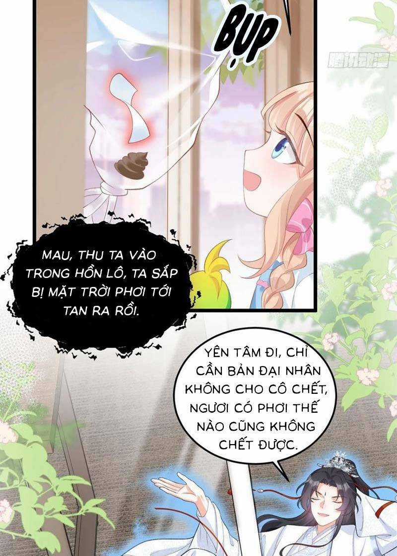 Bé Thóc Đáng Thương Được Tám Người Cậu Tranh Sủng Chapter 13 trang 19