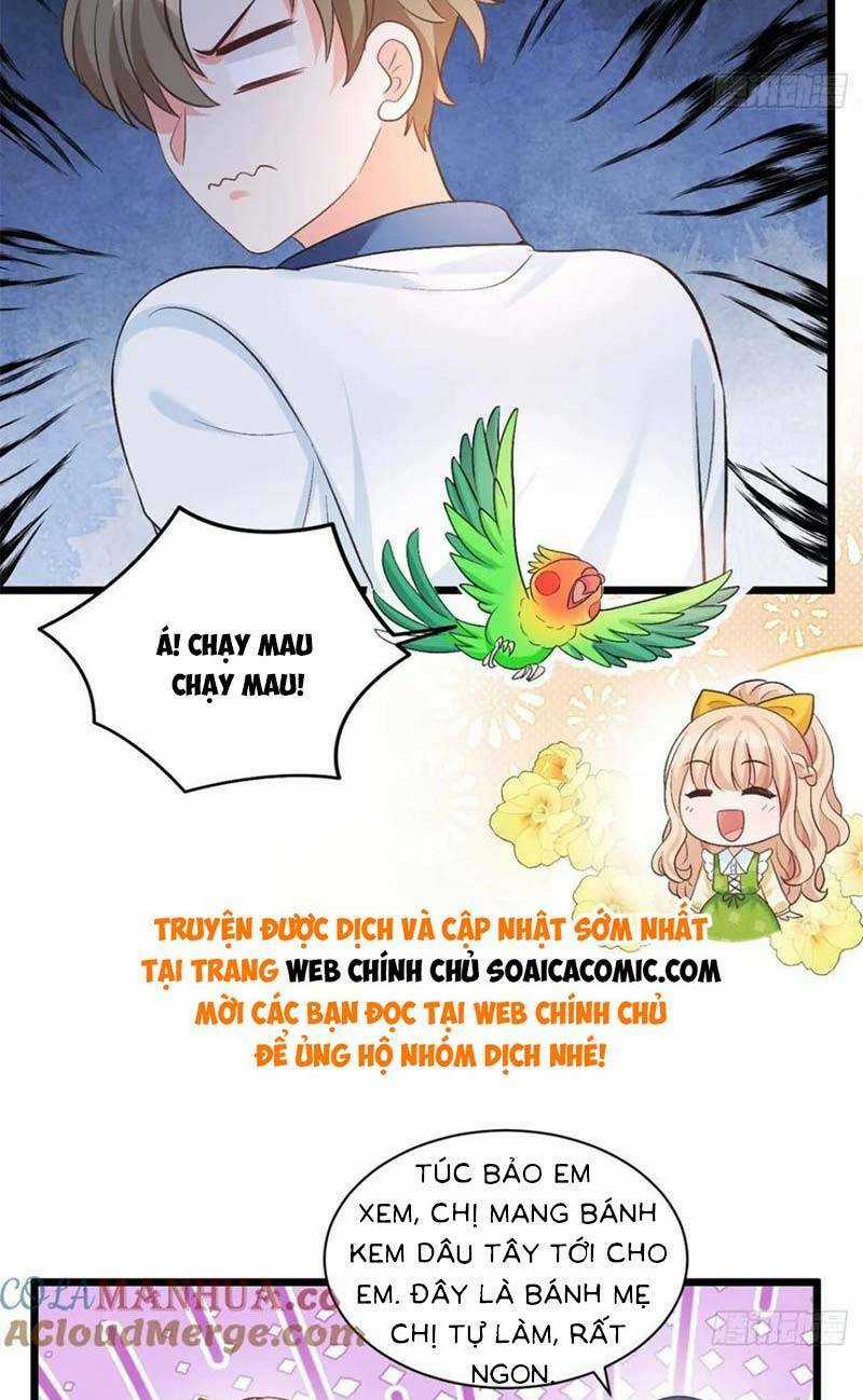 Bé Thóc Đáng Thương Được Tám Người Cậu Tranh Sủng Chapter 17 trang 25