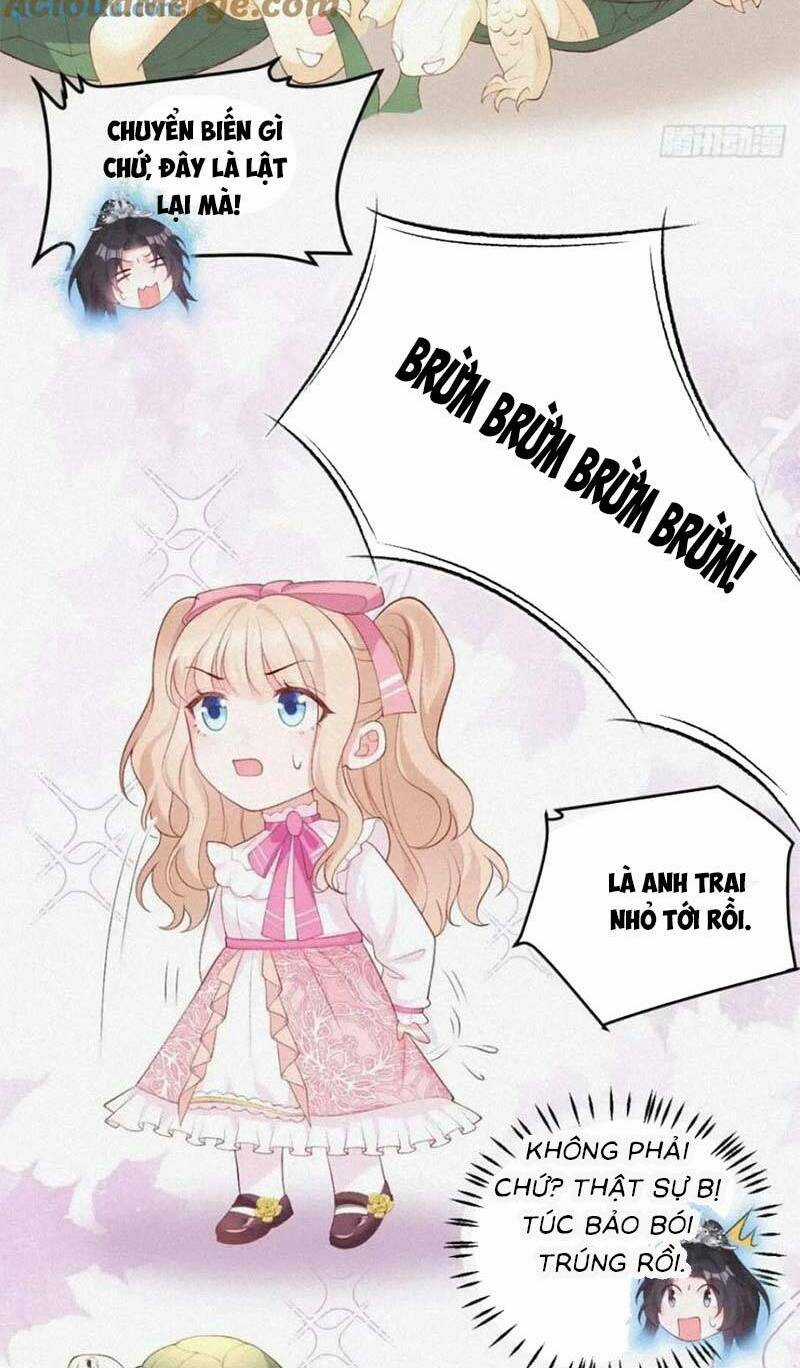 Bé Thóc Đáng Thương Được Tám Người Cậu Tranh Sủng Chapter 20 trang 11