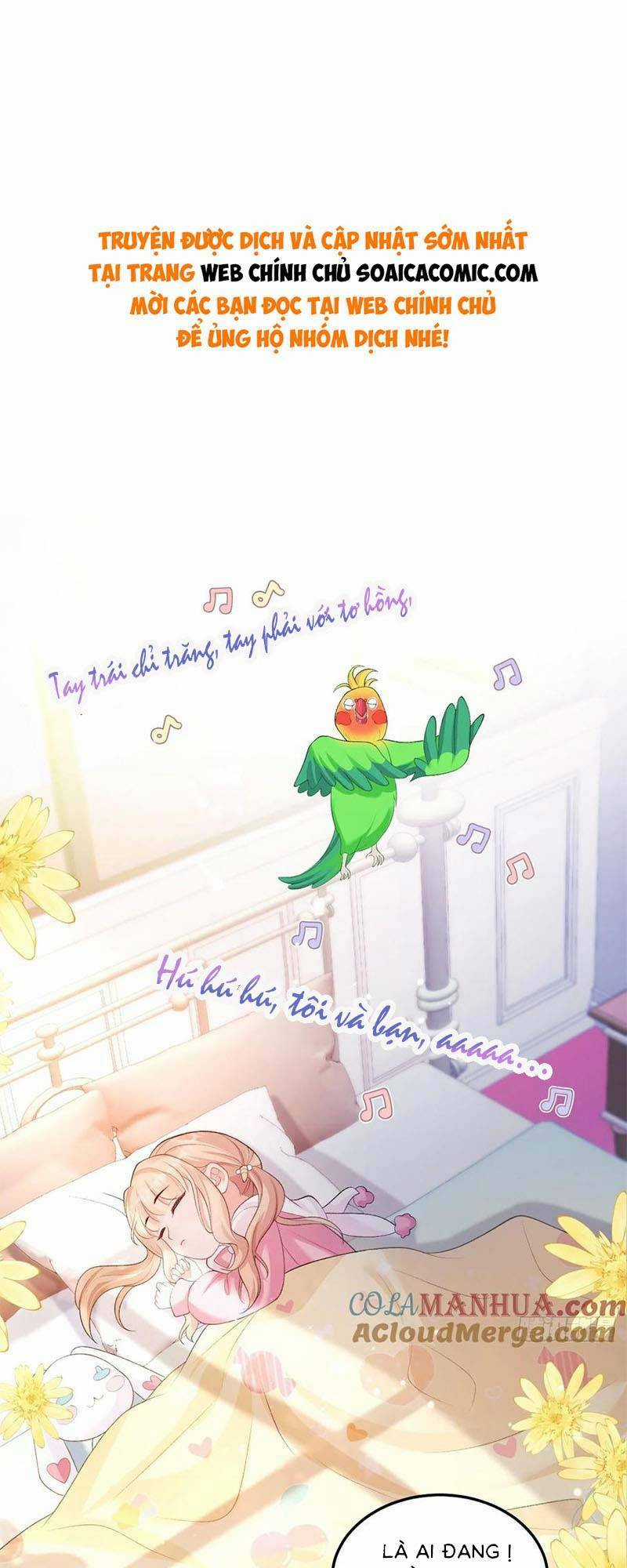 Bé Thóc Đáng Thương Được Tám Người Cậu Tranh Sủng Chapter 22 trang 0
