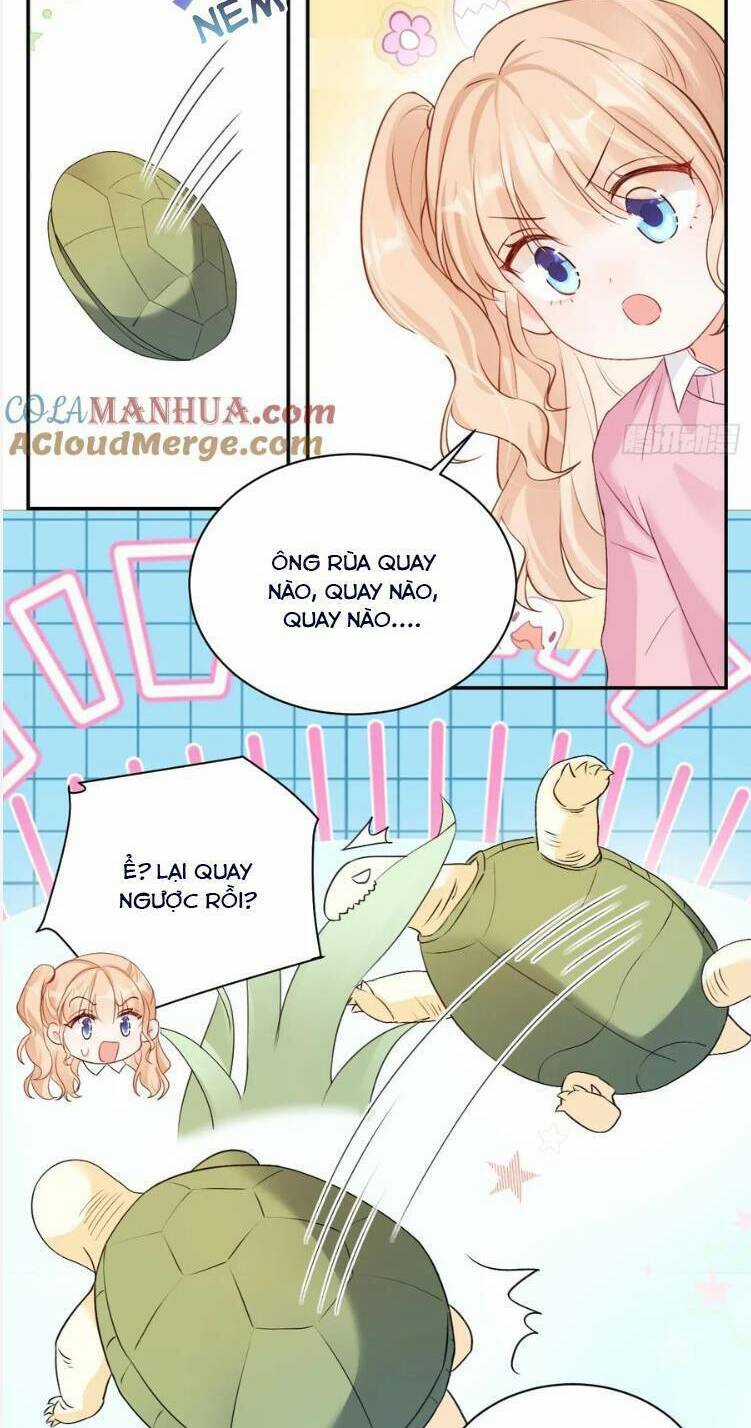 Bé Thóc Đáng Thương Được Tám Người Cậu Tranh Sủng Chapter 48 trang 8