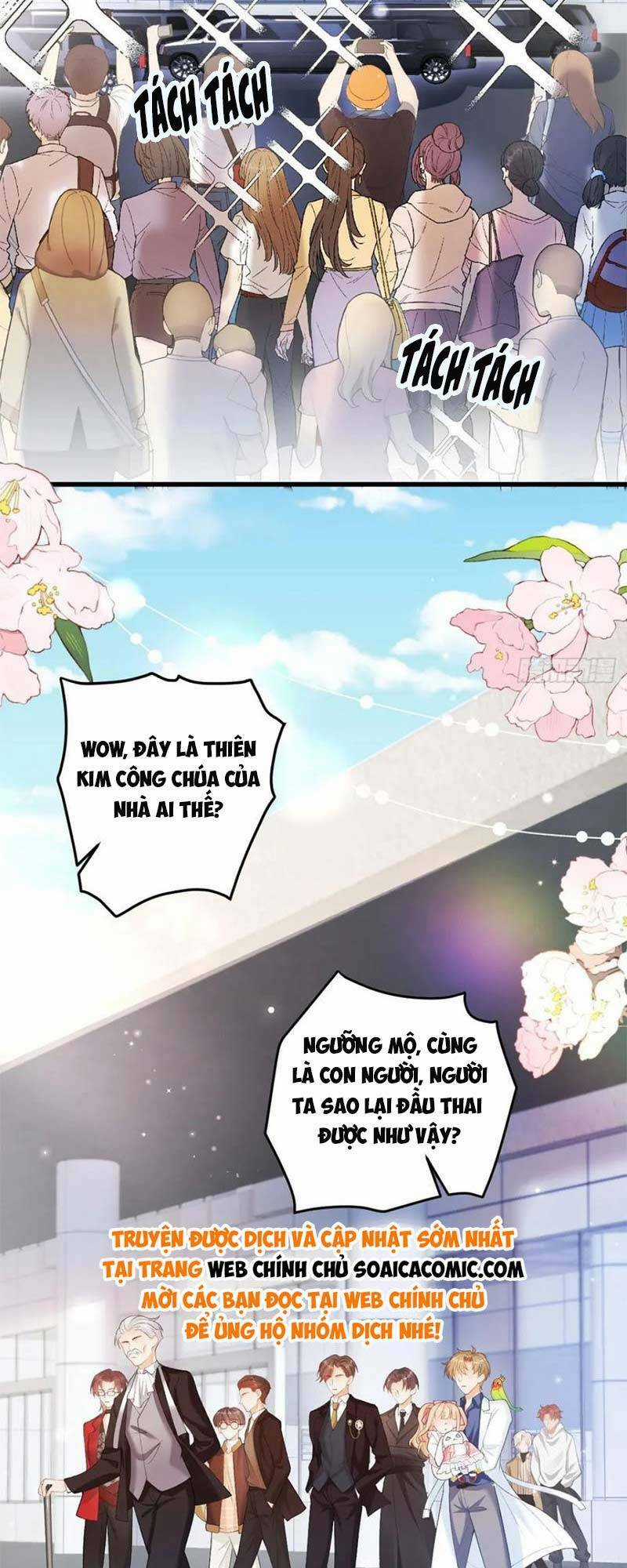 Bé Thóc Đáng Thương Được Tám Người Cậu Tranh Sủng Chapter 6 trang 21