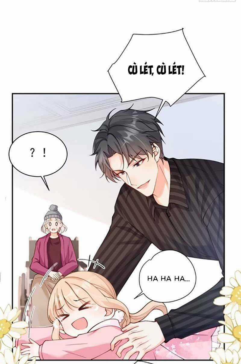 Bé Thóc Đáng Thương Được Tám Người Cậu Tranh Sủng Chapter 61 trang 24