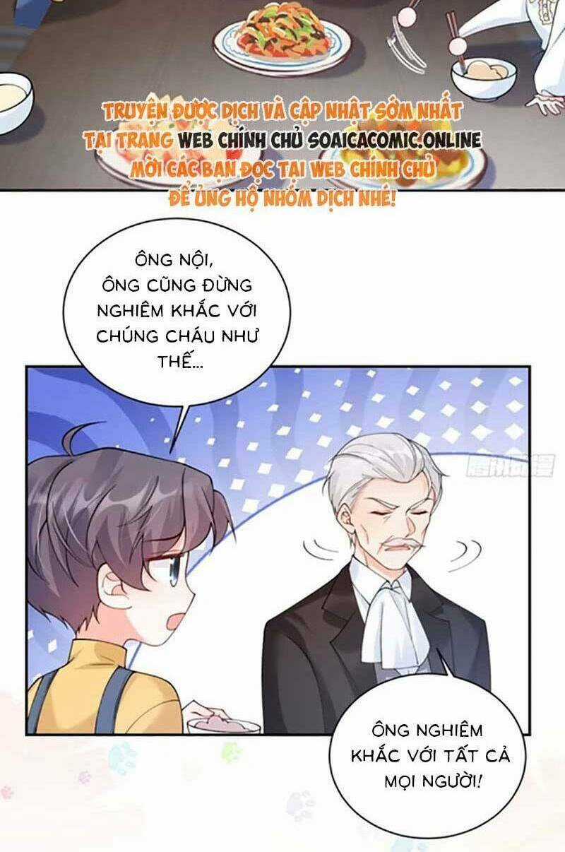 Bé Thóc Đáng Thương Được Tám Người Cậu Tranh Sủng Chapter 61 trang 27