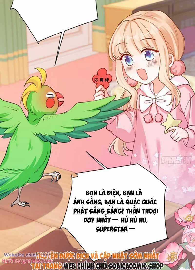 Bé Thóc Đáng Thương Được Tám Người Cậu Tranh Sủng Chapter 66 trang 20