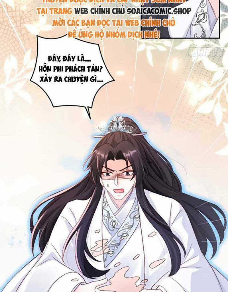 Bé Thóc Đáng Thương Được Tám Người Cậu Tranh Sủng Chapter 67 trang 8