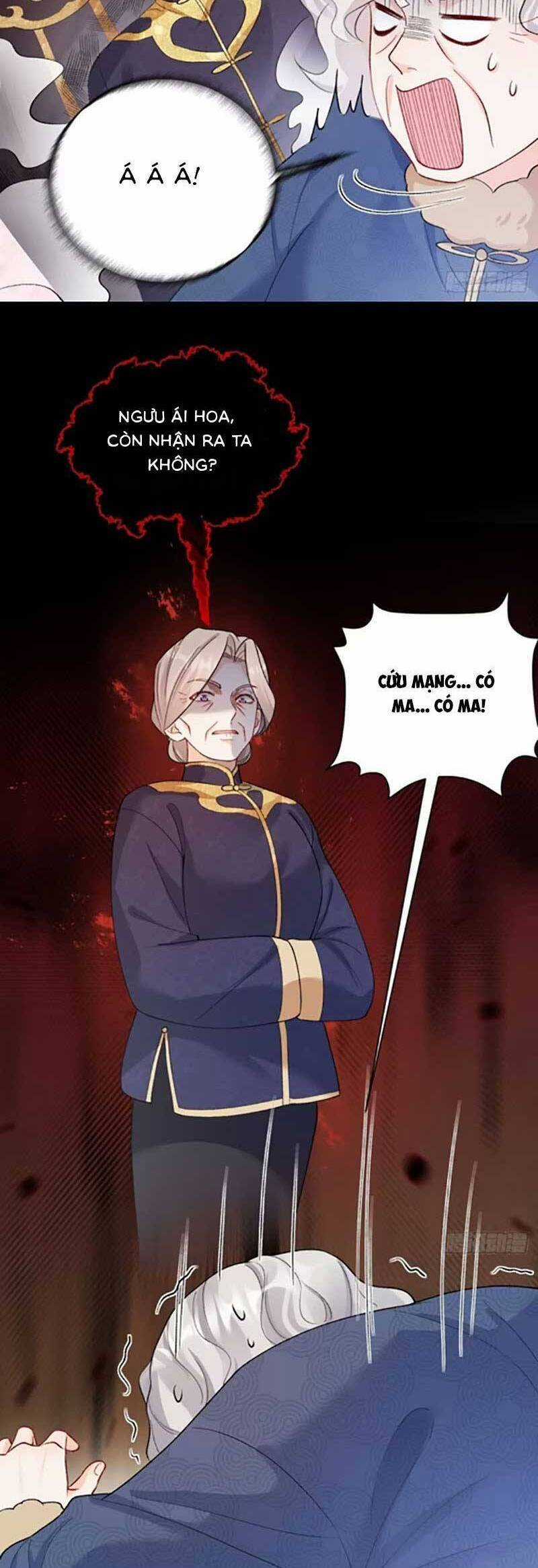 Bé Thóc Đáng Thương Được Tám Người Cậu Tranh Sủng Chapter 70 trang 13