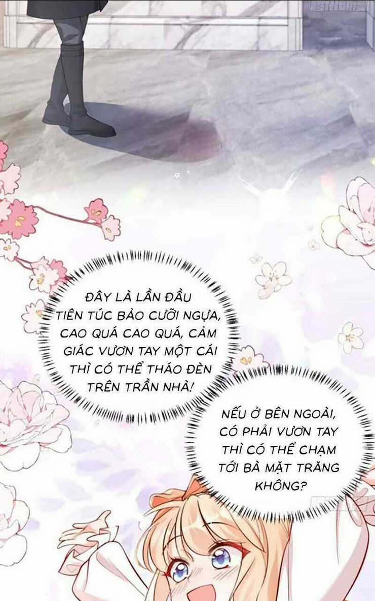 Bé Thóc Đáng Thương Được Tám Người Cậu Tranh Sủng Chapter 71 trang 31