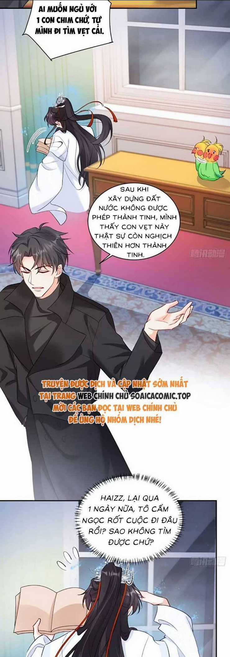 Bé Thóc Đáng Thương Được Tám Người Cậu Tranh Sủng Chapter 72 trang 15