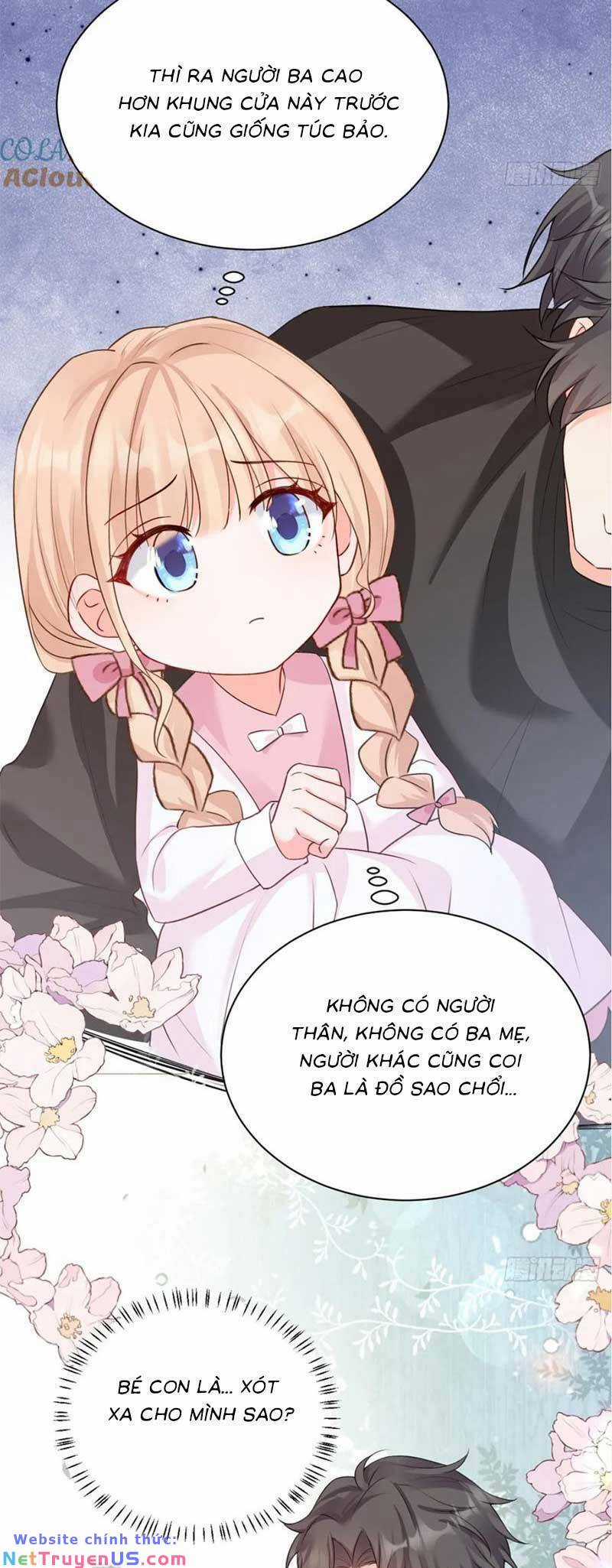 Bé Thóc Đáng Thương Được Tám Người Cậu Tranh Sủng Chapter 84 trang 17