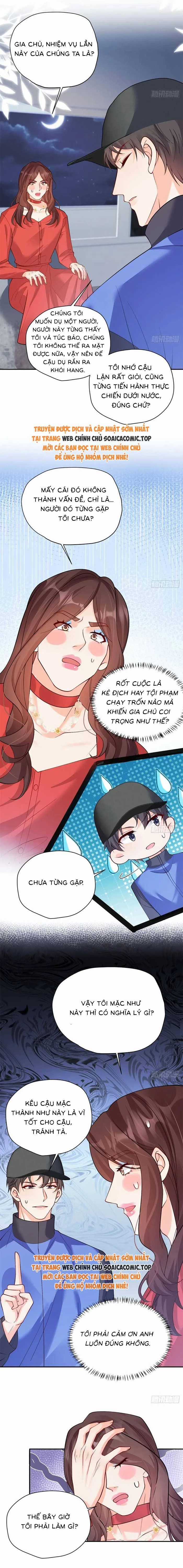 Bé Thóc Đáng Thương Được Tám Người Cậu Tranh Sủng Chapter 91 trang 6