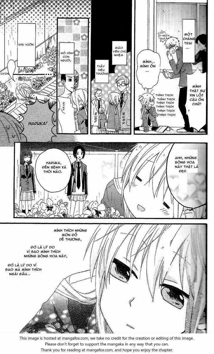 Bear Bear Chapter 1 trang 21