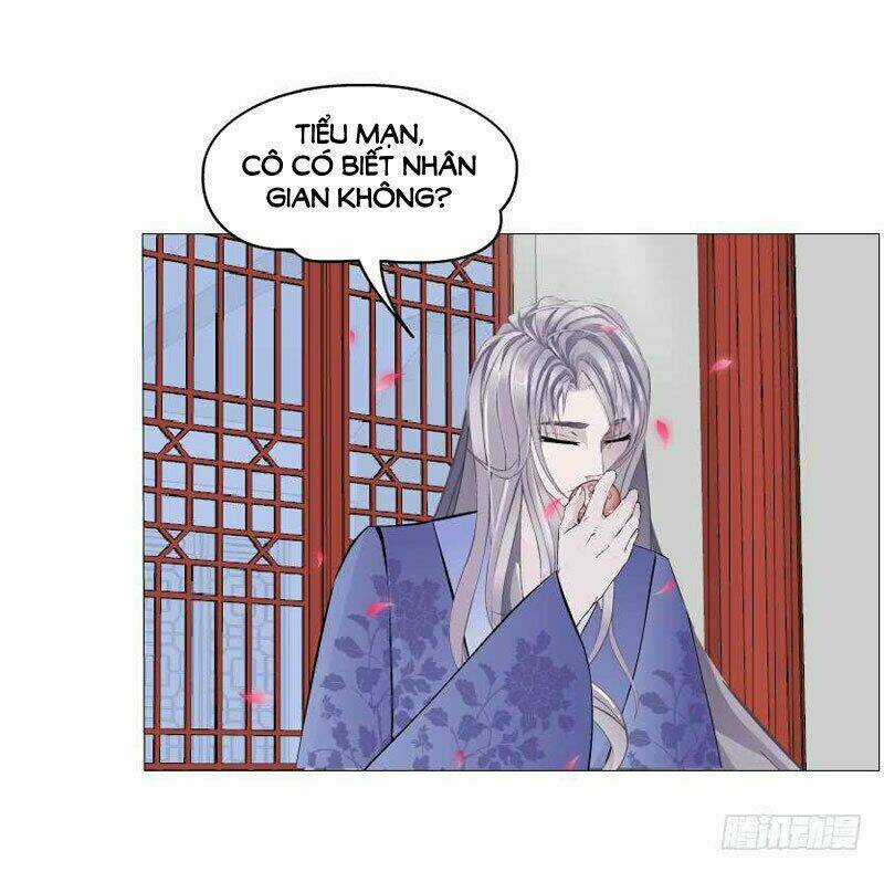 Beauty And Demon Chapter 139 trang 12