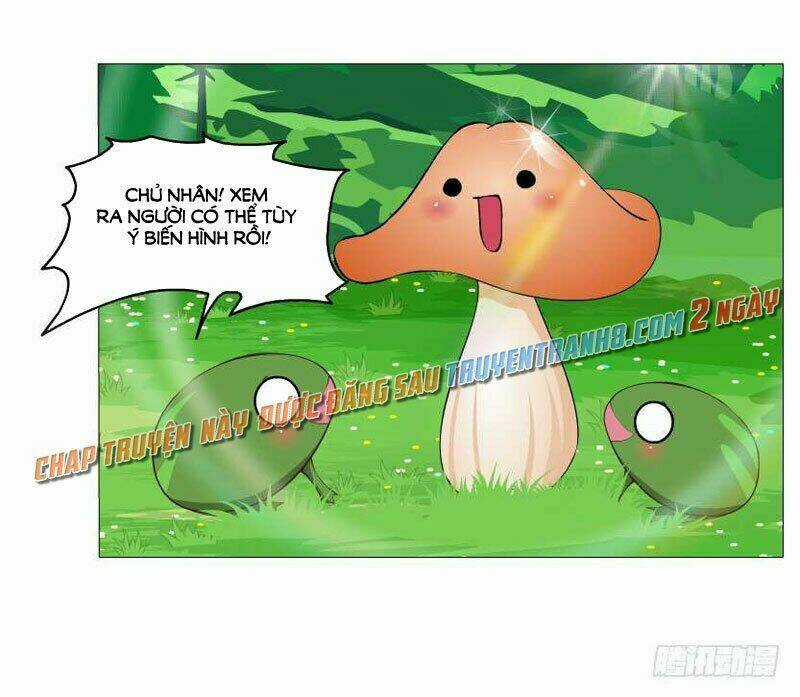 Beauty And Demon Chapter 145 trang 42