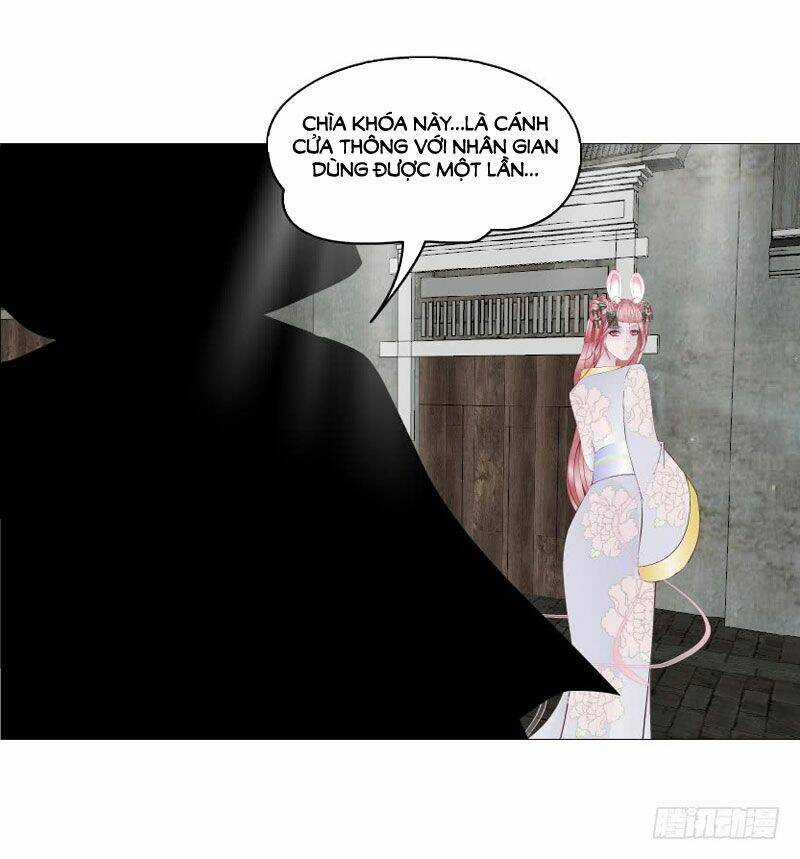 Beauty And Demon Chapter 146 trang 37