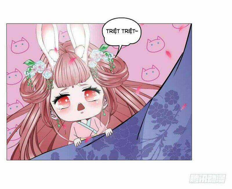 Beauty And Demon Chapter 147 trang 7