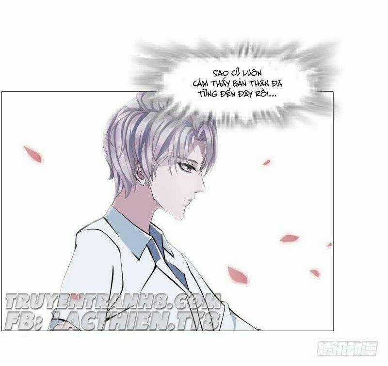 Beauty And Demon Chapter 151 trang 28