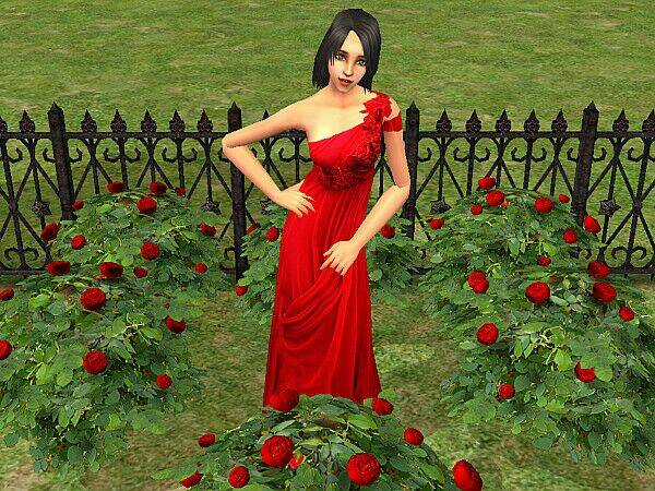 Bella's Story Chapter 5.4 trang 4