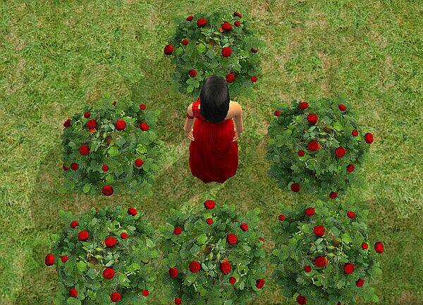 Bella's Story Chapter 5.4 trang 5