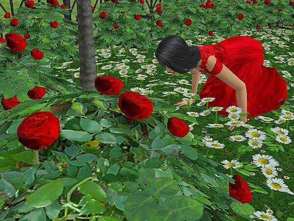 Bella's Story Chapter 8.4 trang 13