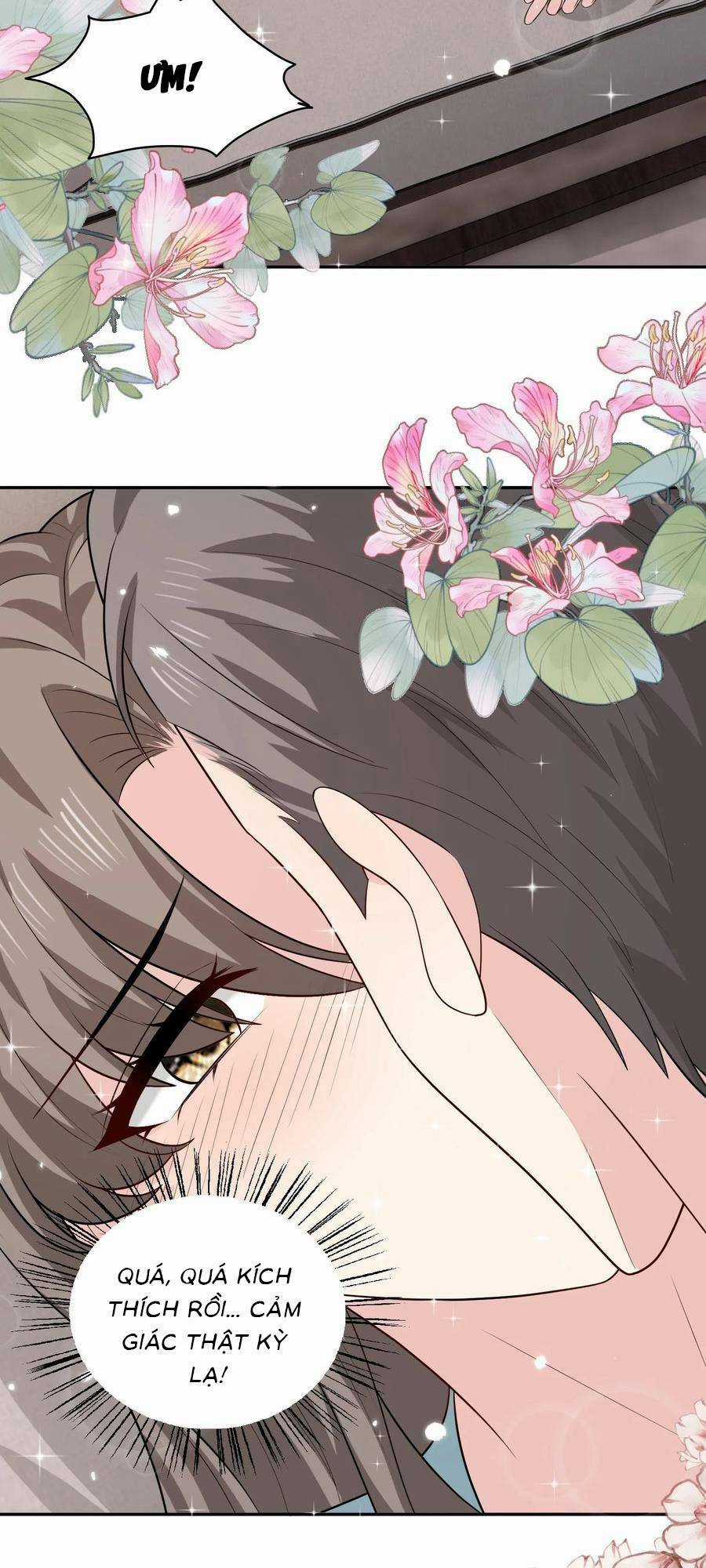 Bệnh Kiều Lệ Gia Được Ta Sủng Ái Nên Kiêu Chapter 151 trang 13