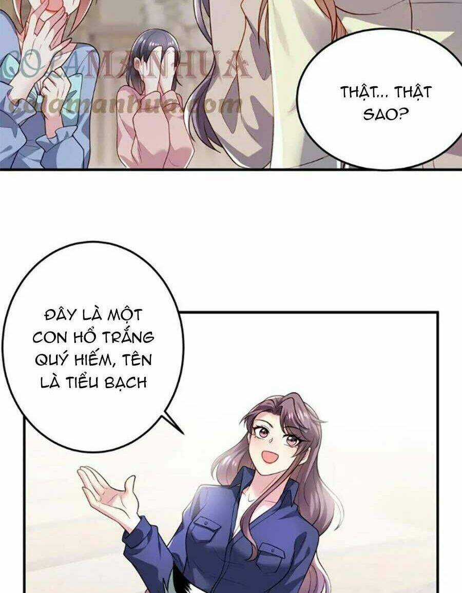 Bệnh Kiều Lệ Gia Được Ta Sủng Ái Nên Kiêu Chapter 42 trang 24