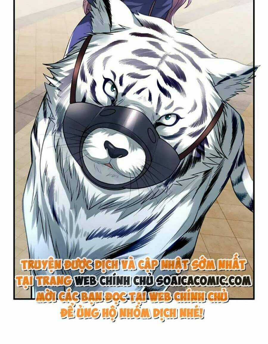 Bệnh Kiều Lệ Gia Được Ta Sủng Ái Nên Kiêu Chapter 42 trang 25