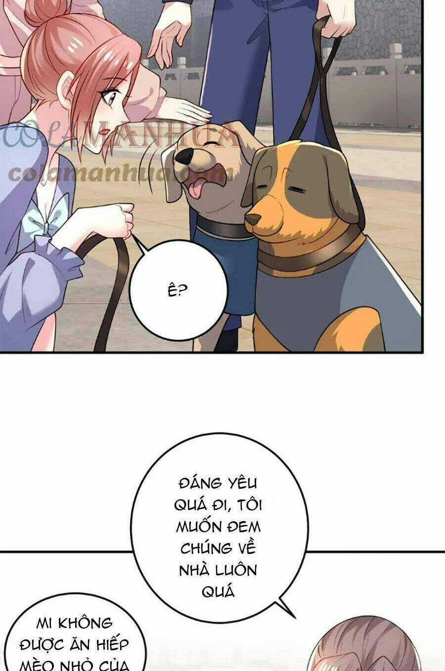 Bệnh Kiều Lệ Gia Được Ta Sủng Ái Nên Kiêu Chapter 42 trang 8