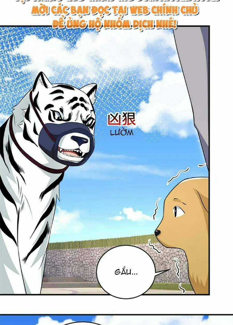 Bệnh Kiều Lệ Gia Được Ta Sủng Ái Nên Kiêu Chapter 43 trang 12