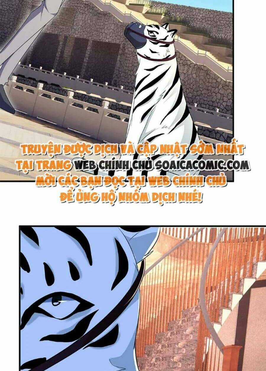 Bệnh Kiều Lệ Gia Được Ta Sủng Ái Nên Kiêu Chapter 43 trang 15