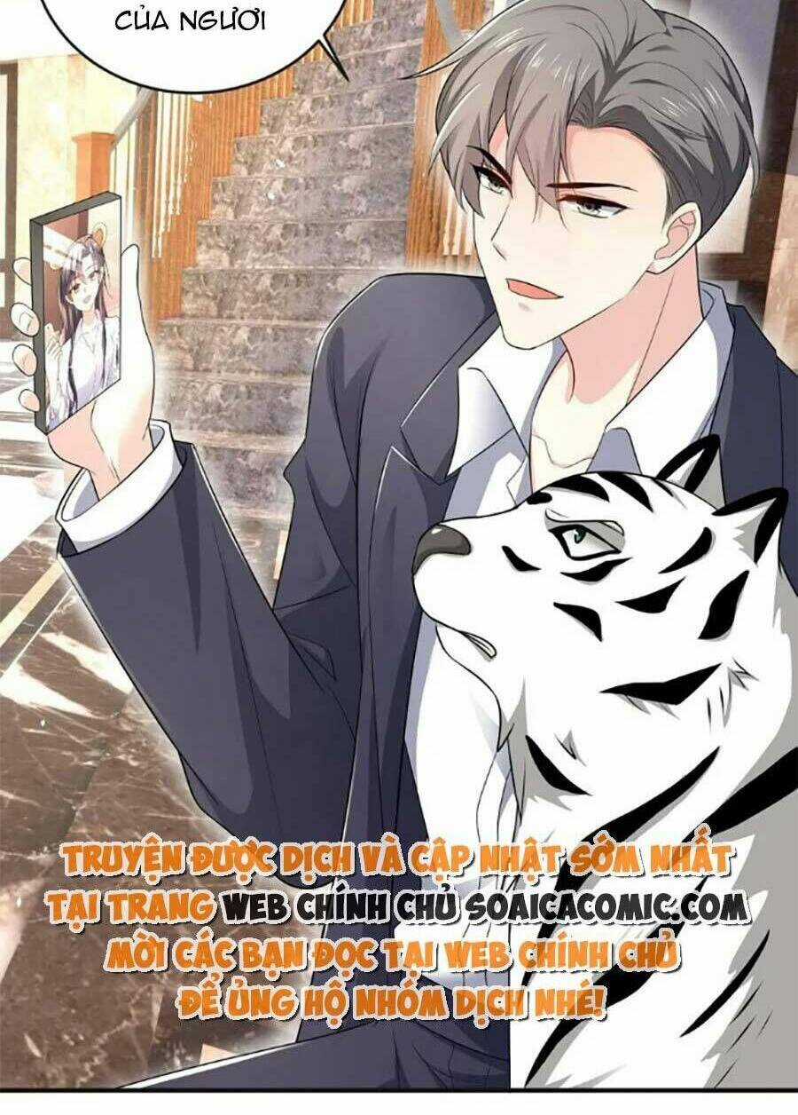 Bệnh Kiều Lệ Gia Được Ta Sủng Ái Nên Kiêu Chapter 43 trang 17