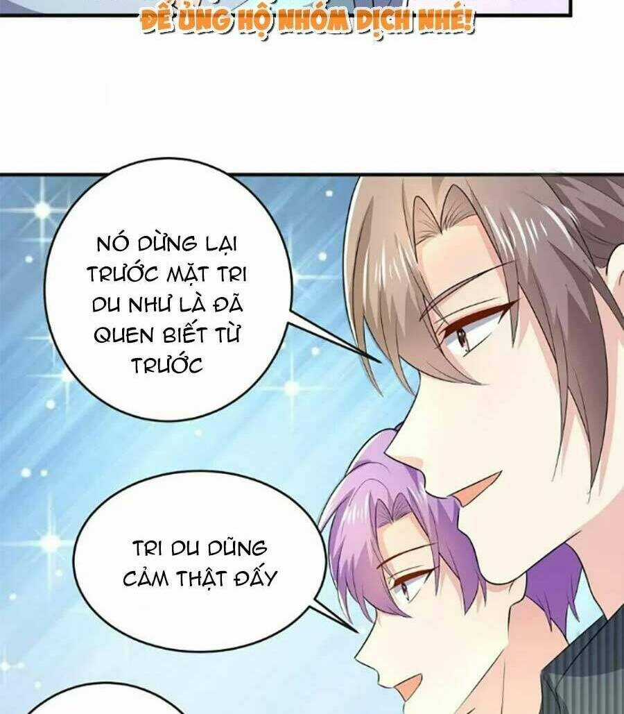 Bệnh Kiều Lệ Gia Được Ta Sủng Ái Nên Kiêu Chapter 43 trang 27