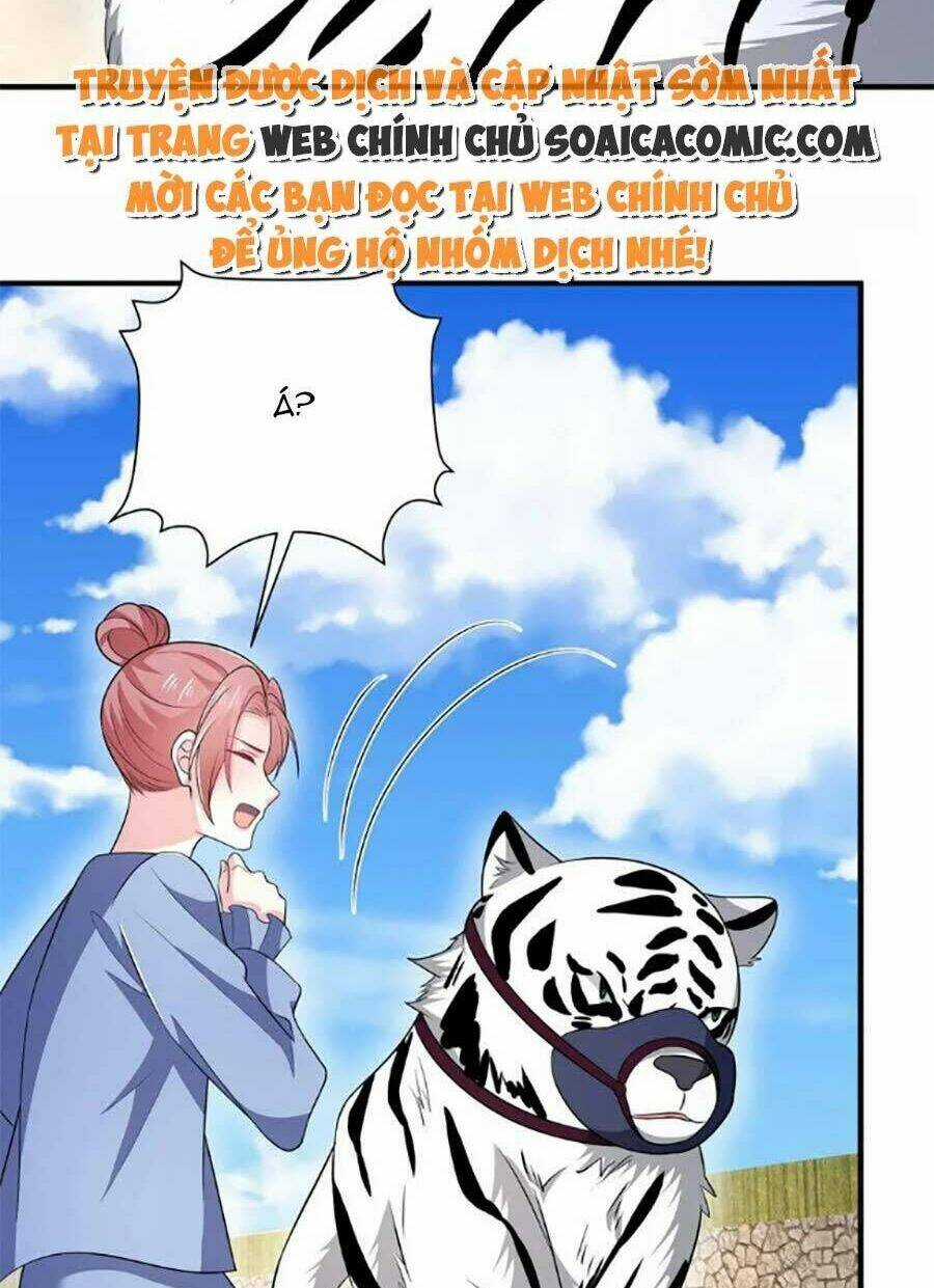 Bệnh Kiều Lệ Gia Được Ta Sủng Ái Nên Kiêu Chapter 43 trang 4