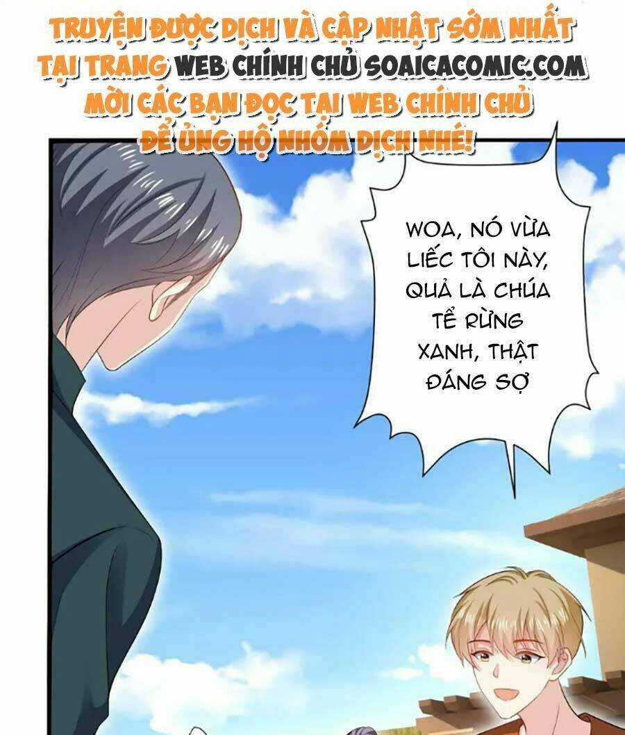 Bệnh Kiều Lệ Gia Được Ta Sủng Ái Nên Kiêu Chapter 43 trang 6