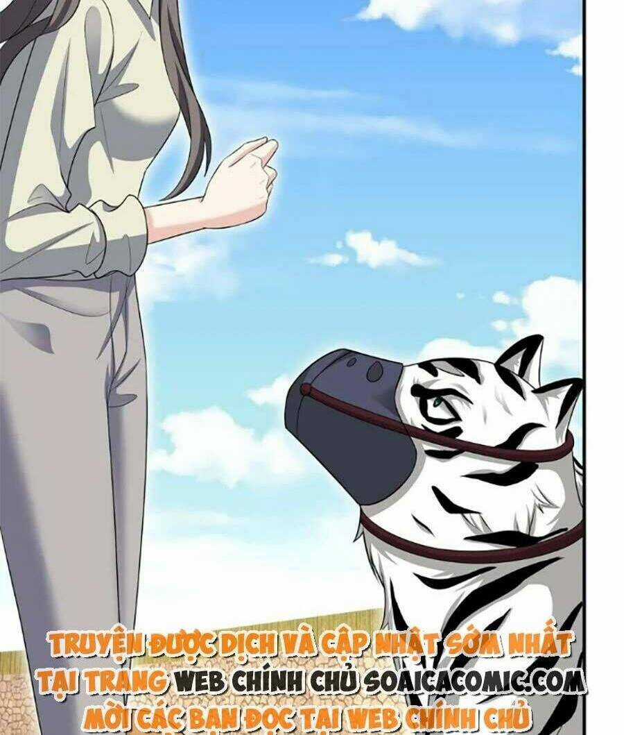 Bệnh Kiều Lệ Gia Được Ta Sủng Ái Nên Kiêu Chapter 43 trang 9