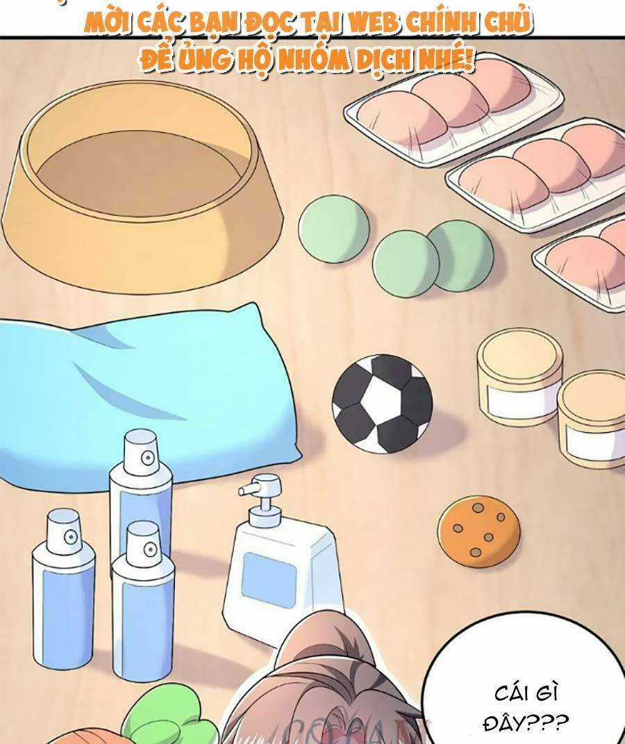 Bệnh Kiều Lệ Gia Được Ta Sủng Ái Nên Kiêu Chapter 45 trang 10