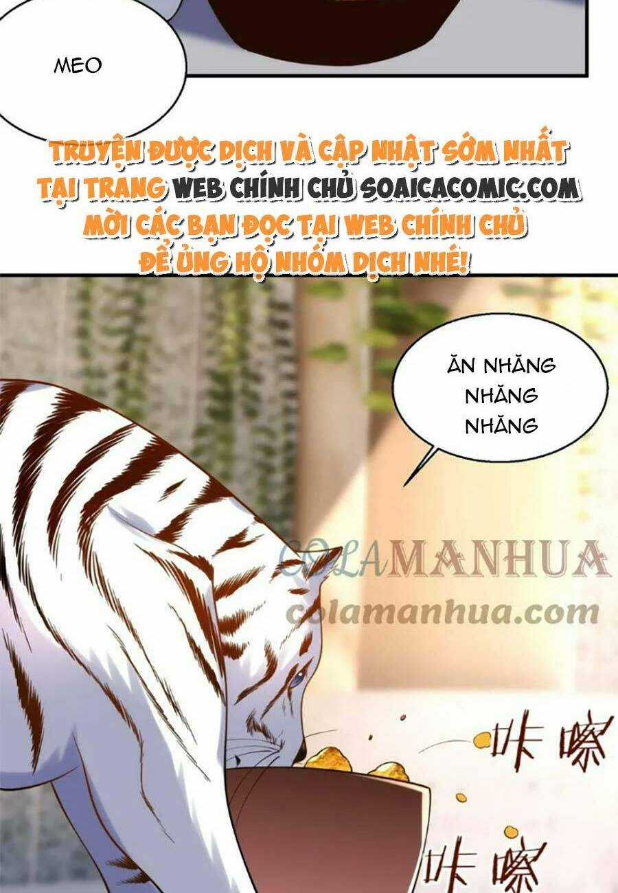 Bệnh Kiều Lệ Gia Được Ta Sủng Ái Nên Kiêu Chapter 54 trang 3