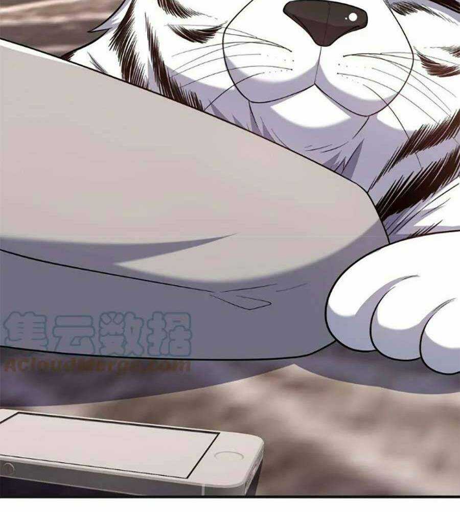 Bệnh Kiều Lệ Gia Được Ta Sủng Ái Nên Kiêu Chapter 61 trang 22