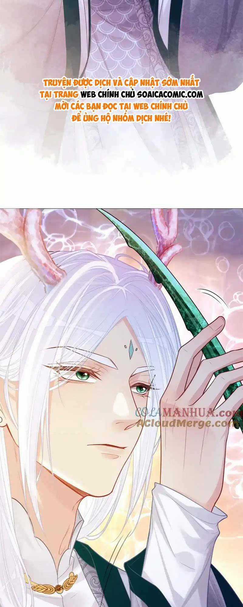 BỆNH KIỀU NAM CHỦ LẠI GHEN RỒI Chapter 142 trang 13