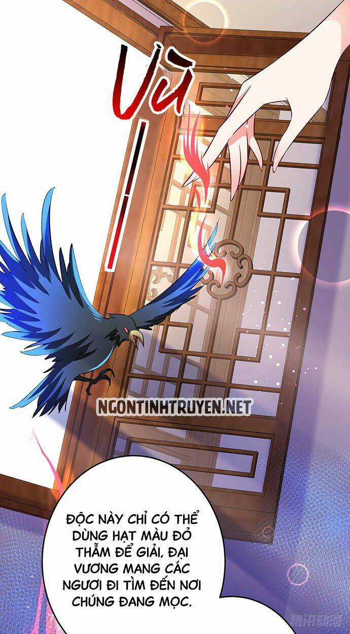 Bệnh Kiều Phu Quân Ngạnh Thượng Cung Chapter 11 trang 7