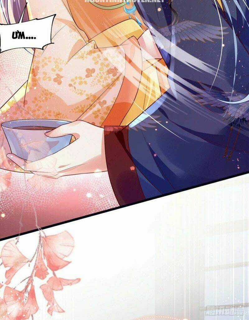 Bệnh Kiều Phu Quân Ngạnh Thượng Cung Chapter 25 trang 13