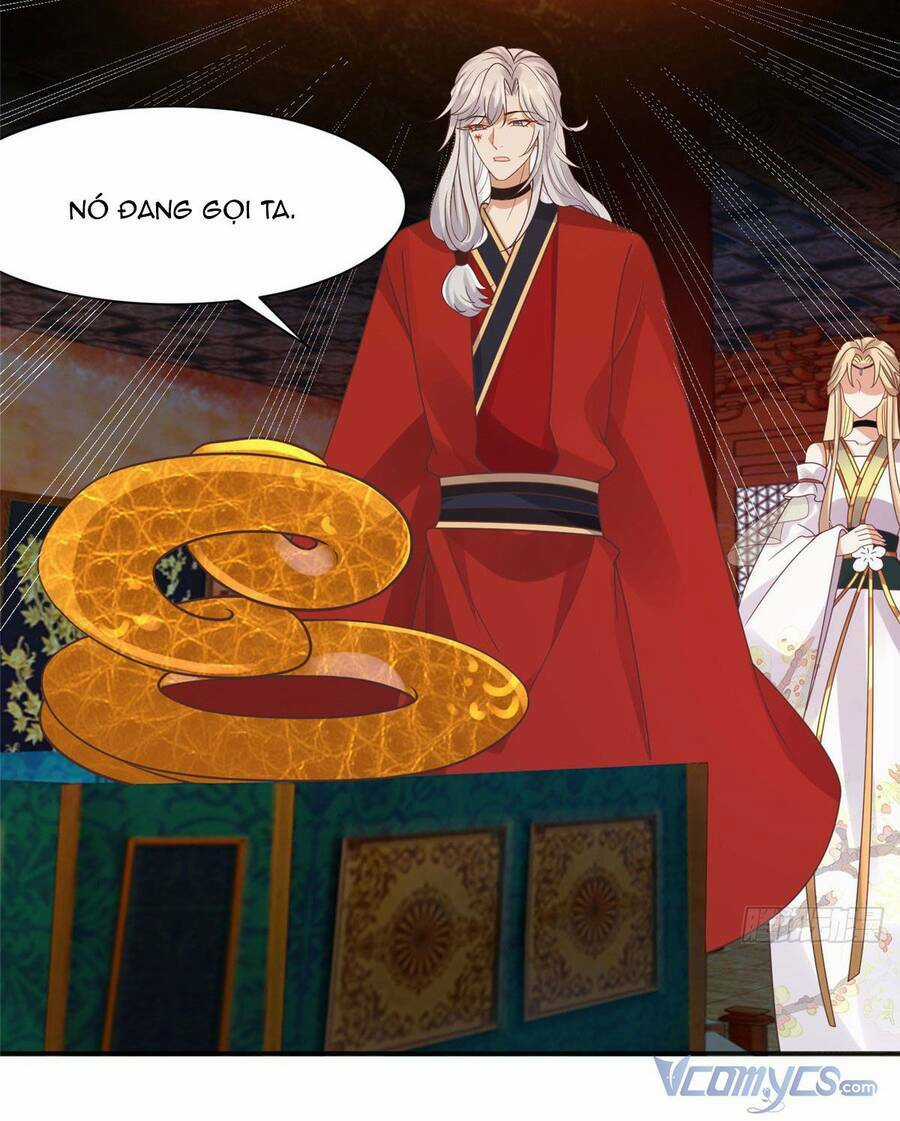 Bệnh Kiều Vương Gia Dựa Vào Ta Để Tiếp Tục Sống Chapter 100 trang 6