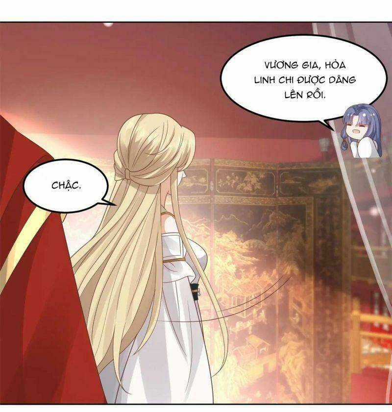 Bệnh Kiều Vương Gia Dựa Vào Ta Để Tiếp Tục Sống Chapter 65 trang 18