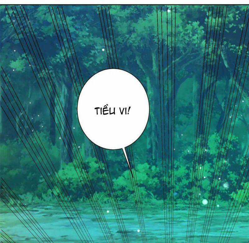 Bệnh Kiều Vương Gia Dựa Vào Ta Để Tiếp Tục Sống Chapter 70 trang 14