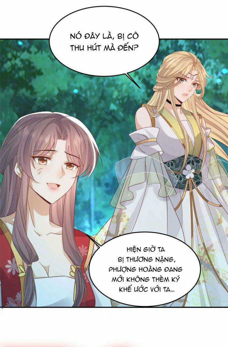 Bệnh Kiều Vương Gia Dựa Vào Ta Để Tiếp Tục Sống Chapter 70 trang 32