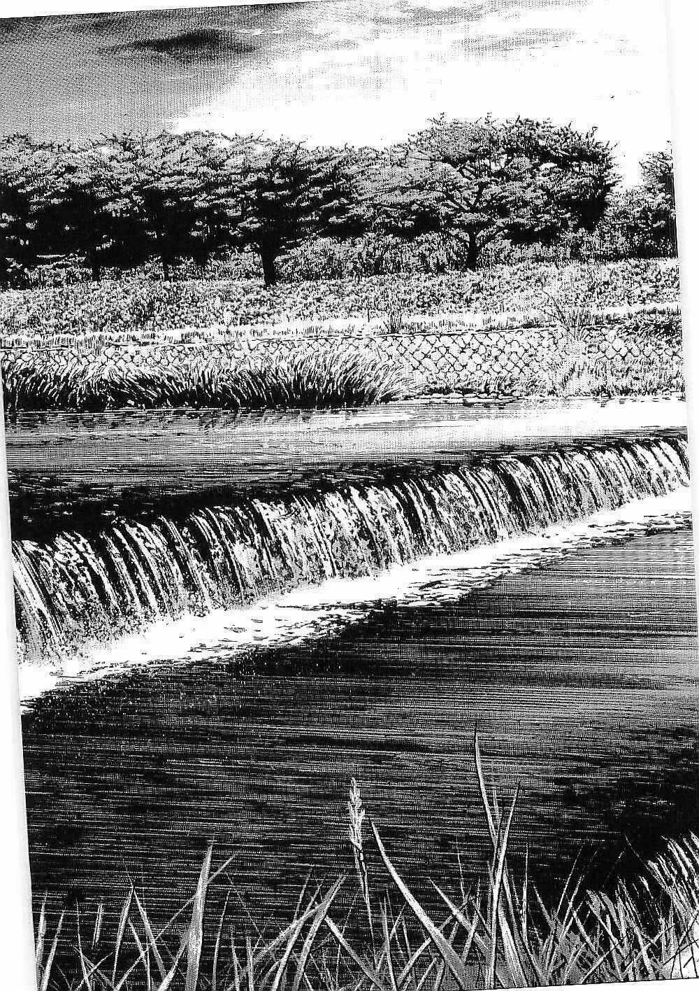 Bestia Chapter 12 trang 26