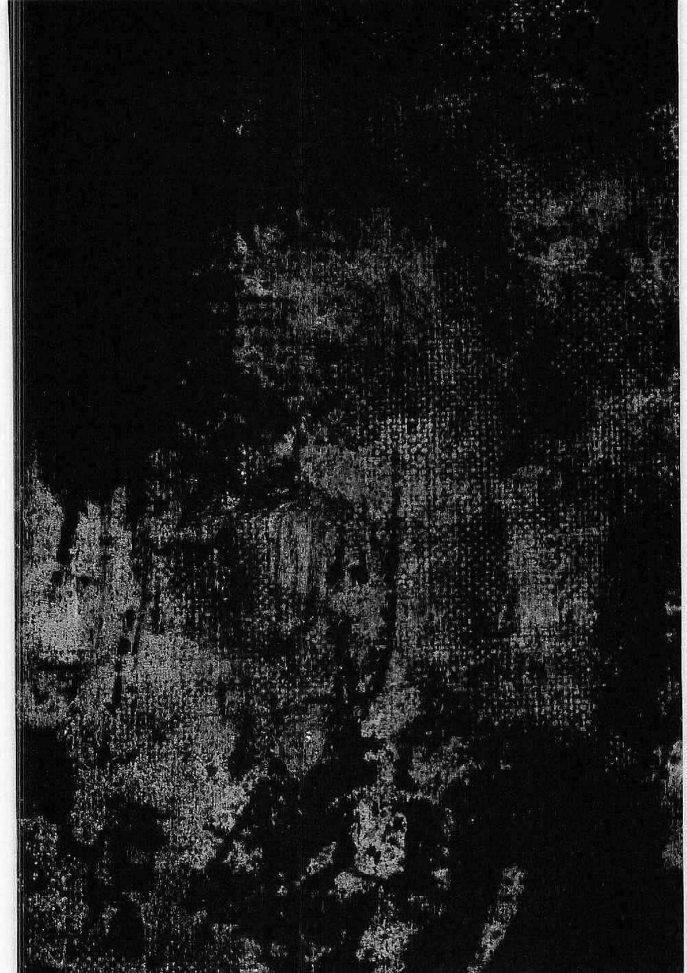 Bestia Chapter 12 trang 49